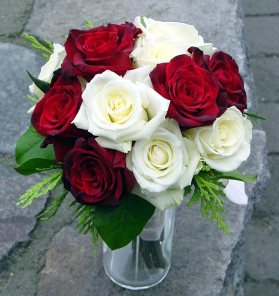 Red and White Roses in Vase